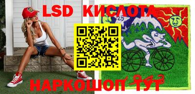 шишки Лесосибирск