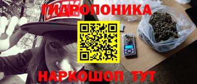 шишки Лесосибирск