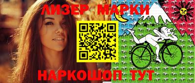 шишки Лесосибирск