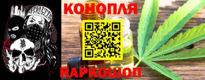 шишки Лесосибирск