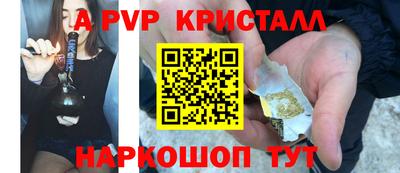 шишки Лесосибирск