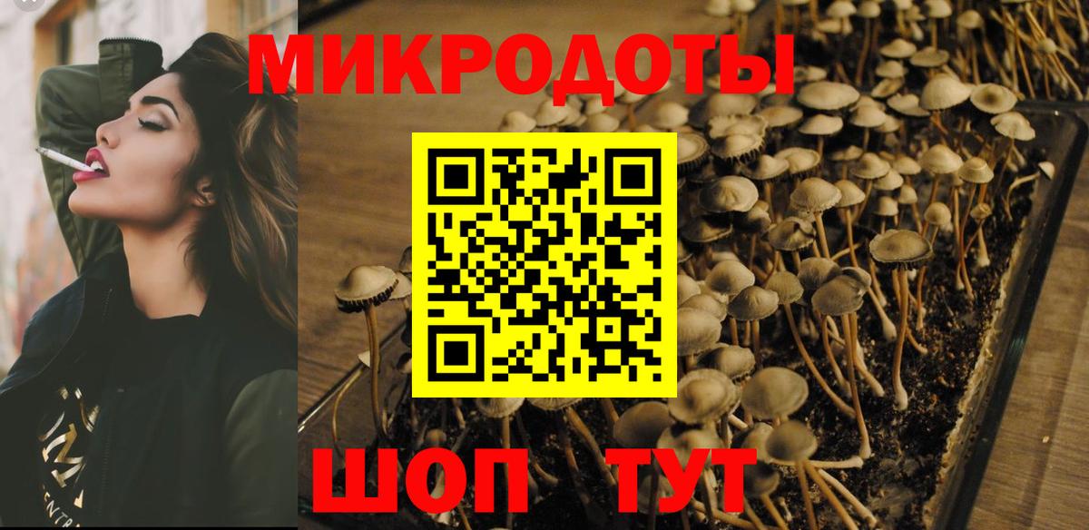 Грозный  Галлюциногенные грибы мицелий  Вход с VPN 